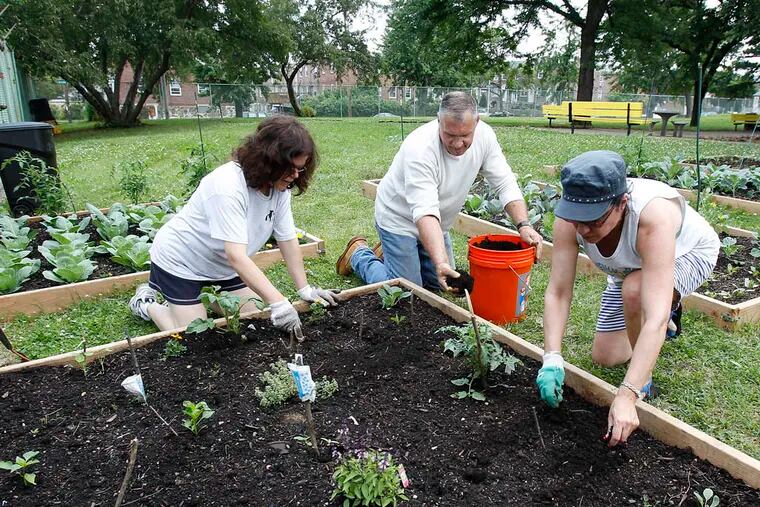 Paulette Rodriguez, (left) Michael Hoy, (center) and Pam Baranackie, who are part of the Take Back Your Neighborhood community group, work in the community garden at the Max Myers playground in Northeast Philadelphia on June 9, 2013. (David Maialetti / Staff Photographer)