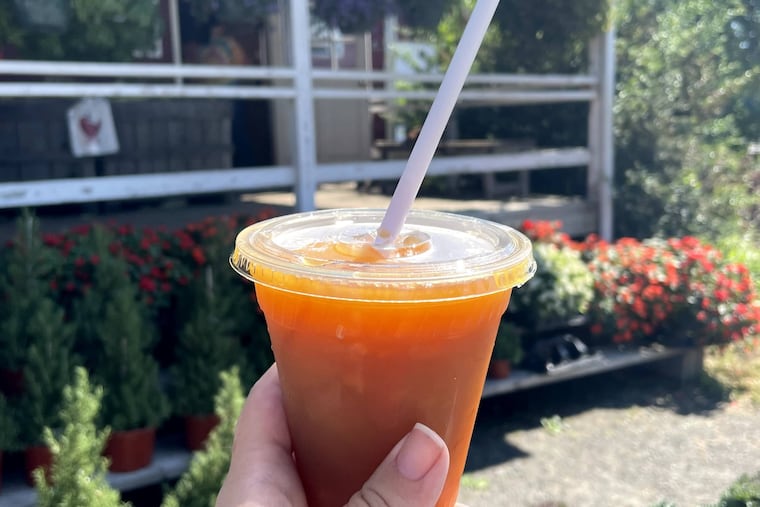 Frozen apple cider slush is just one of the many seasonal treats available at Terhune Orchards in Princeton.