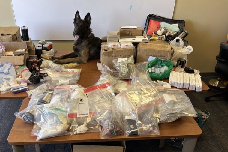 Bensalem Police Department K-9 Officer Moose with evidence seized in the drug busts this week.