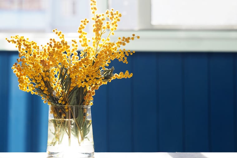 There are many people who shape and love us.