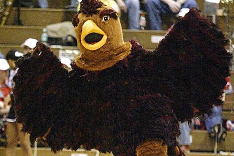 The Saint Joseph's Hawk. (H. Rumph, Jr./AP)