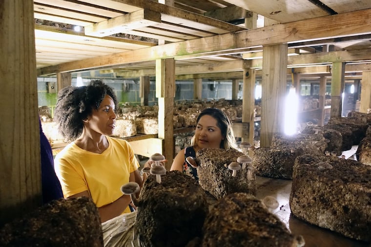 Eisa Davis tours a mushroom growing facility with a community stakeholder in Kennett Square, Chester County.
