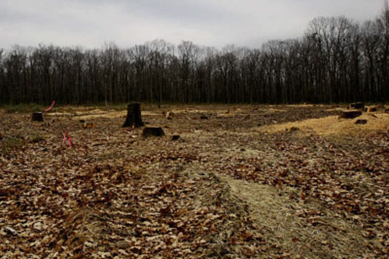 Forest has been cleared for a drilling pad in Sproul State Forest, in north-central Pennsylvania.