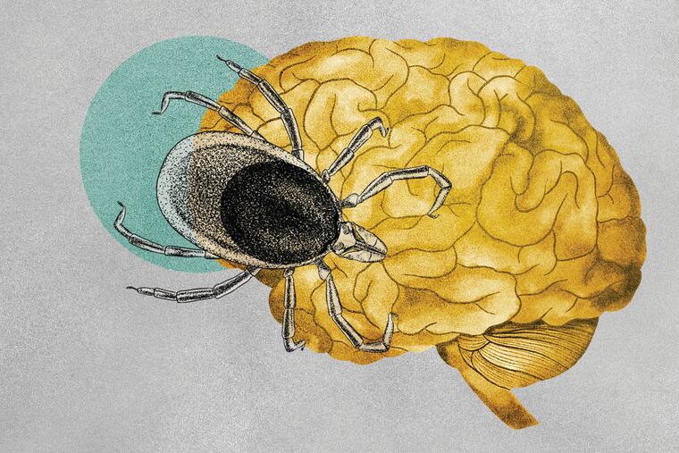 Illustration about ticks transmitting tick-borne illnesses.