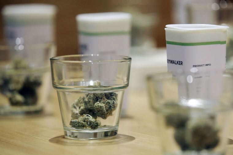 A Commonwealth Court filing Tuesday by a group of current medical marijuana growers and dispensary operators raises several concerns about appearances of pay-to-play and says the participants in the research program won't be required to do more than promise to conduct scientific studies.