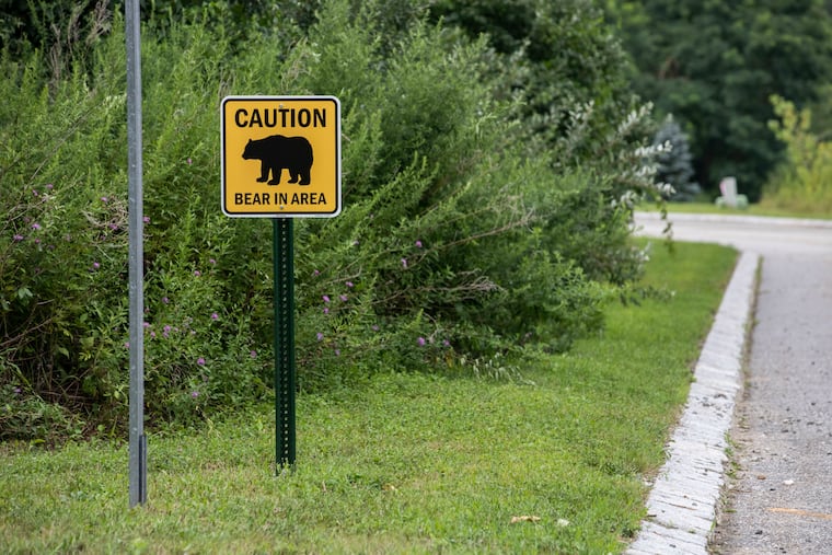Signage warns of "Bear in Area" in Hardyston Township, N.J. on Thursday, August 6, 2020. Black bears live in these woods near a residential neighborhood.