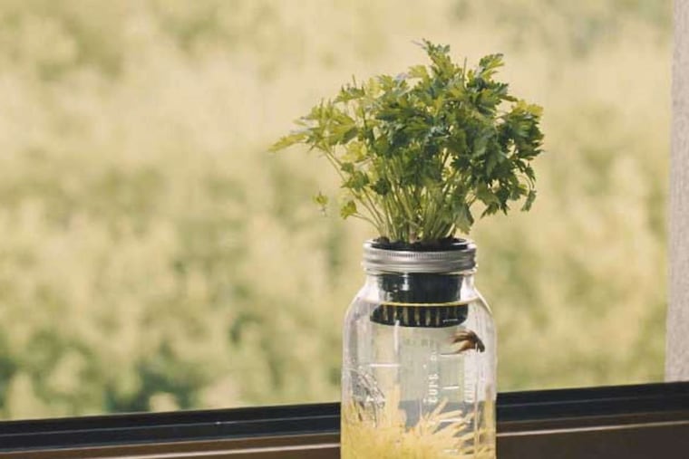 AquaJar, $40 at Amazon.com.