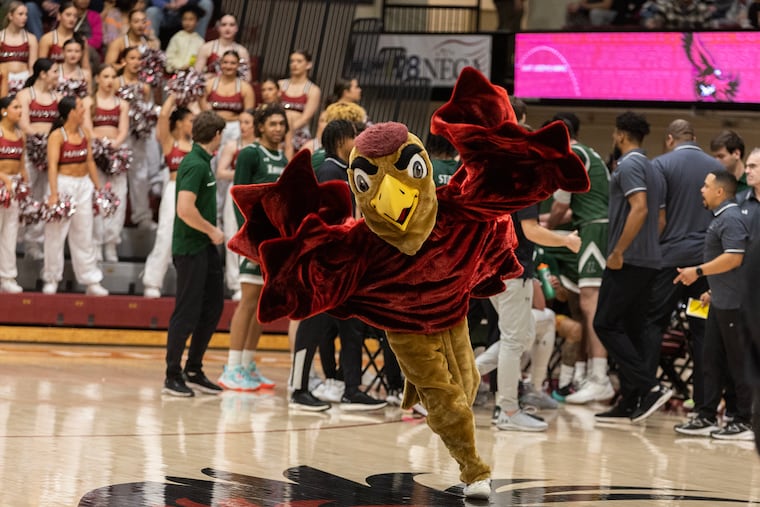 Two St. Joe's students, junior Michael Sorochen and senior Matt Kirchgasser, are the duo behind the Hawk mascot.