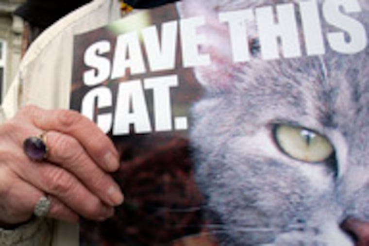 Cape May approved a plan to keep feral cats from birds. B6.