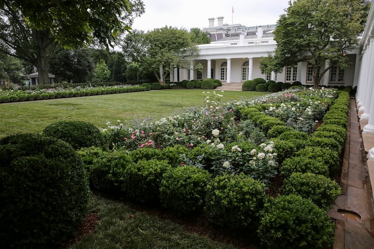 Melania Trump's biggest change to the White House was the renovation of the Rose Garden, unveiled last summer. Projects included replacing old plantings and installing new limestone paths, and upgrading drainage systems. It was paid for with private funds.