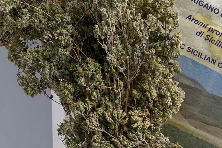 ED HILLE / Staff Photographer