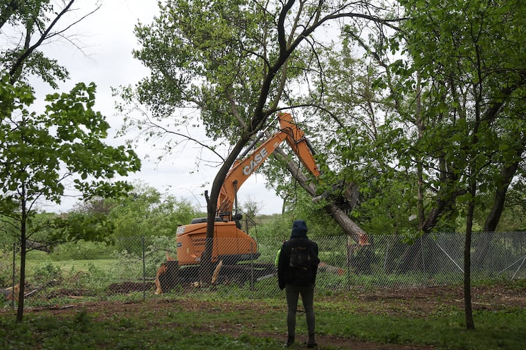 A tree is removed at the meadows of FDR Park in South Philadelphia on May 4, 2024. A group of people who follow the Coalition to Save the Meadows showed up in protest and to document the clear-cutting of the area.