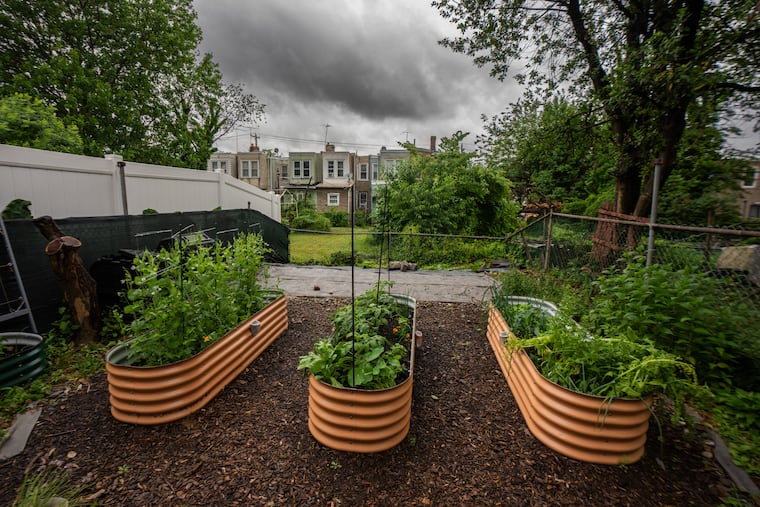 The yard and garden behind Thompson's home. It abuts the backyard of her aunt, who lives nearby.