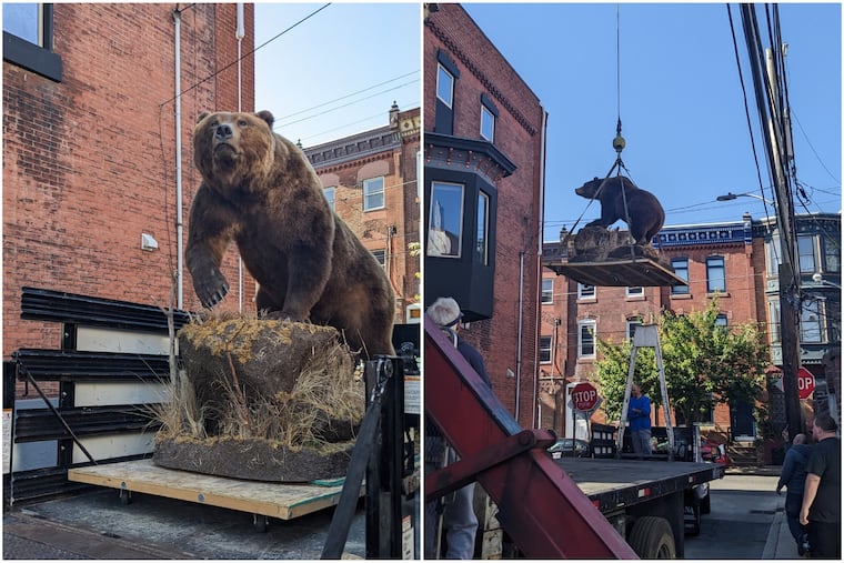 Taxidermied animals are moved via crane in South Philadelphia on May 25, 2023.