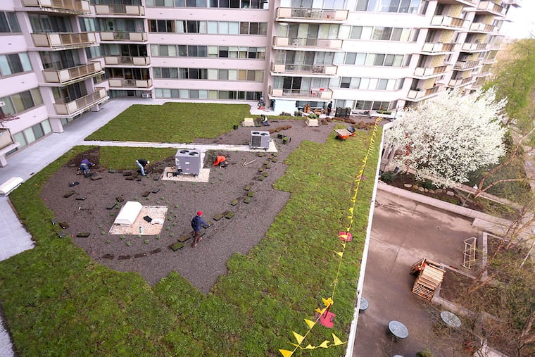 Workers are busy installing greenery on the roof of the Philadelphian condo complex near the Art
Museum. The city now has 111 green roofs, with 64 on the way. (DAVID SWANSON / Staff Photographer)