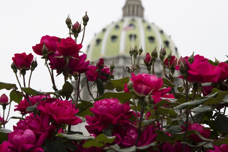 There are no such laws currently anywhere in the state.