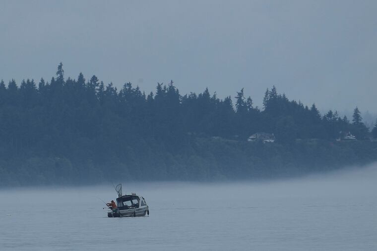 Shanan Lynn Read's remains were found in the Puget Sound several months after she was fatally beaten inside a Seattle apartment in 2005, authorities said.