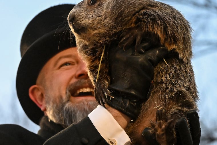 Groundhog Club handler A.J. Dereume holds Punxsutawney Phil, the weather prognosticating groundhog, during the 139th celebration of Groundhog Day on Gobbler's Knob in Punxsutawney, Pa., Sunday, Feb. 2, 2025. (AP Photo/Barry Reeger)