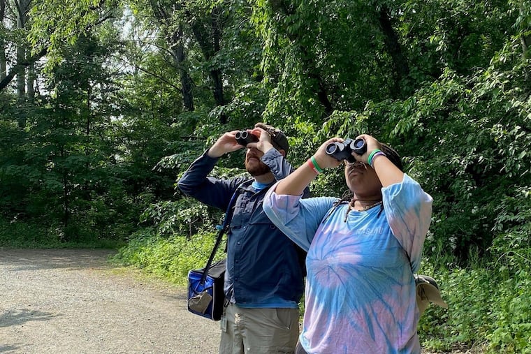 Jeffrey Laughead and Nevaeh Williams try to find yellow warblers at John Heinz Wildlife Refuge in May 2023.