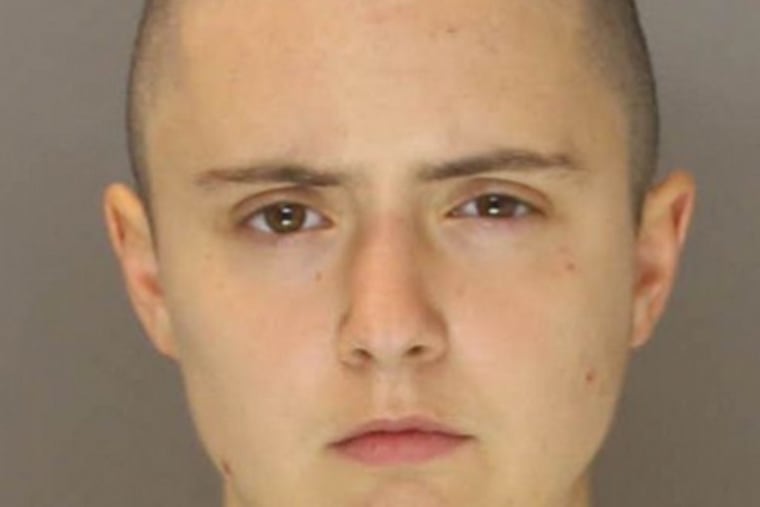 Lis Joy Simon, 23, of Philadelphia, was arrested June 10 in Harrisburg after allegedly attacking a state police horse during a protest.