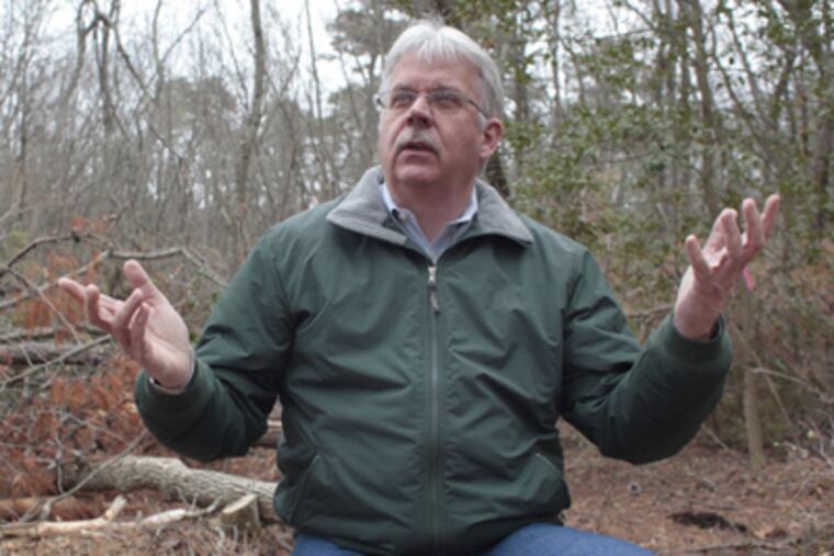 The pines of Buena Vista Township in Atlantic County surround Bob Williams, a professional forester who produced "A Working Forest." (Ed Hille / Staff Photographer)