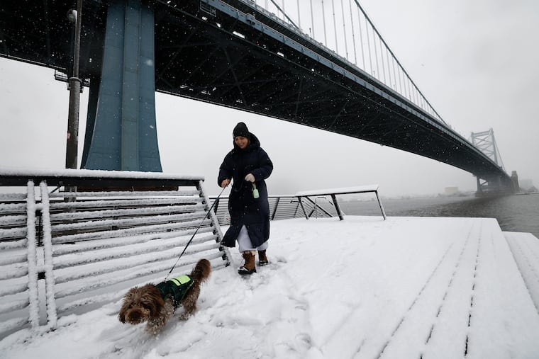 Alyssa McCartney walks Pickles on the Race Street Pier, in the snow early Sunday morning.