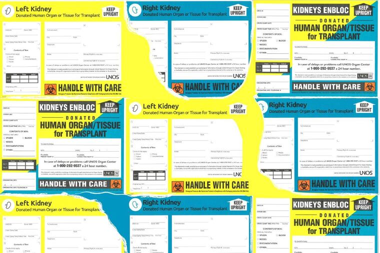 Teams from organ procurement organizations, or OPOs, monitor surgeries to remove organs from donors and then make sure the organs are properly boxed and labeled for shipping and delivery.