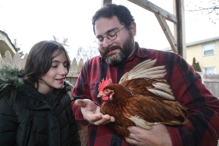 Dan Aharon and his 11-year-old daughter, Ursula, are reunited with their chicken "Tiny" at their Wyndmoor home, Friday, December 4, 2019.