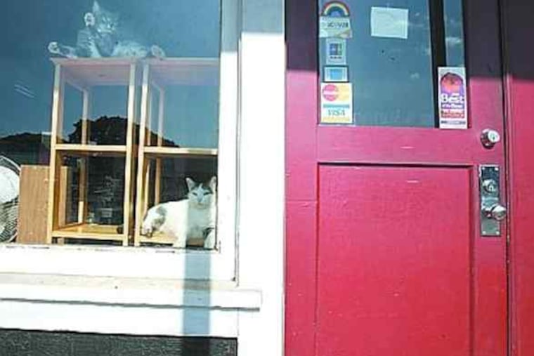 The Talk Story Bookstore reflects the Hawaii town's sleepy character.