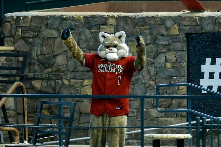 That's Baxter, the Arizona Diamondbacks mascot. He's not a snake. He's a bobcat, because that makes perfect sense.