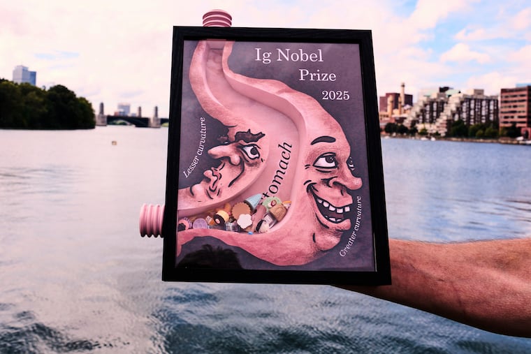 A 2025 Ig Nobel award is one of many awarded by the Annals of Improbable Research magazine for silly sounding scientific discoveries that often have surprisingly practical applications.