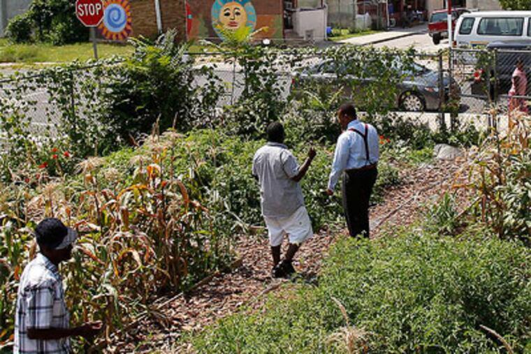 The community garden at 27th and Silver streets, where food and hope are growing in North Philly's Swampoodle neighborhood. (David Maialetti / Staff Photographer)