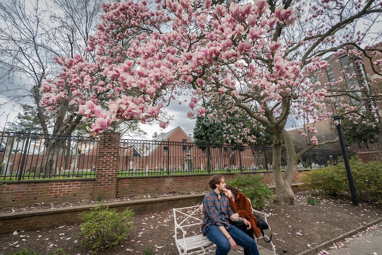 Parkgoers sit on a bench beneath a blooming tree in Magnolia Park on Locust Street, between 4th and 5th Streets in Philadelphia.