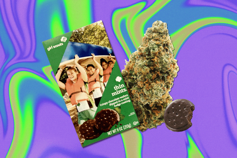 Photo illustration of Girl Scout cookies and weed