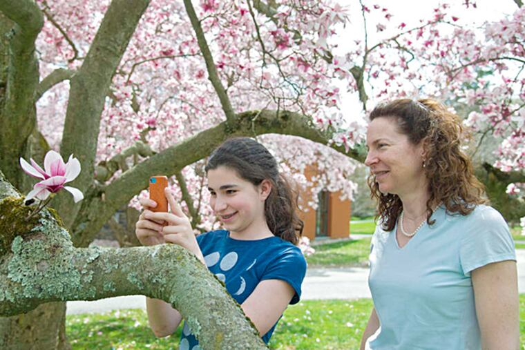As her mother, Corby, watches, Aliza Jacobs, 12, of Ellicott City, Md., takes a close-up of a magnolia bloom at Swarthmore College, where they were on a college tour for her older brother. (Clem Murray / Staff Photographer)