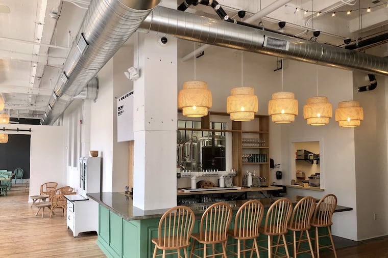 The bar at Triple Bottom Brewing Co.