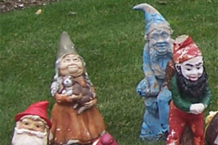 Some of the dozens of gnomes found on the lawn of Ocean City High School on June 11, 2009.