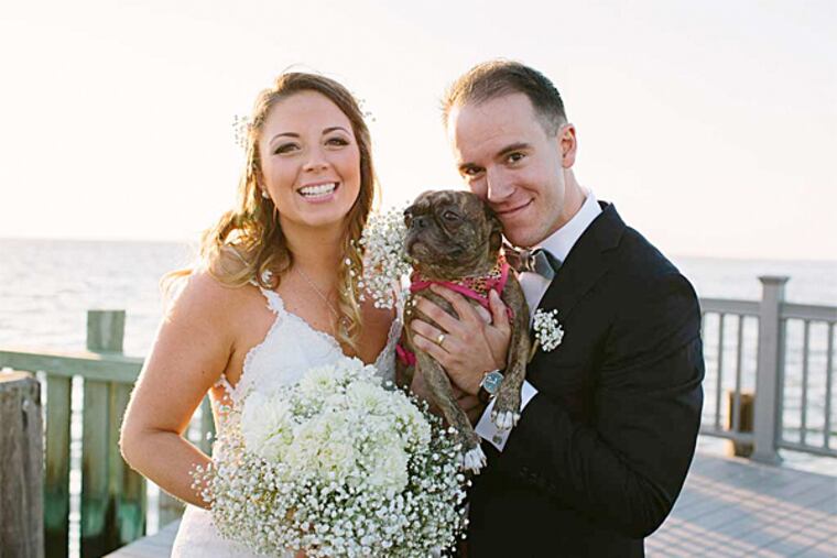 Alex Walsh and Matt Mazza with Indie, their Boston terrier-Pug mix.
