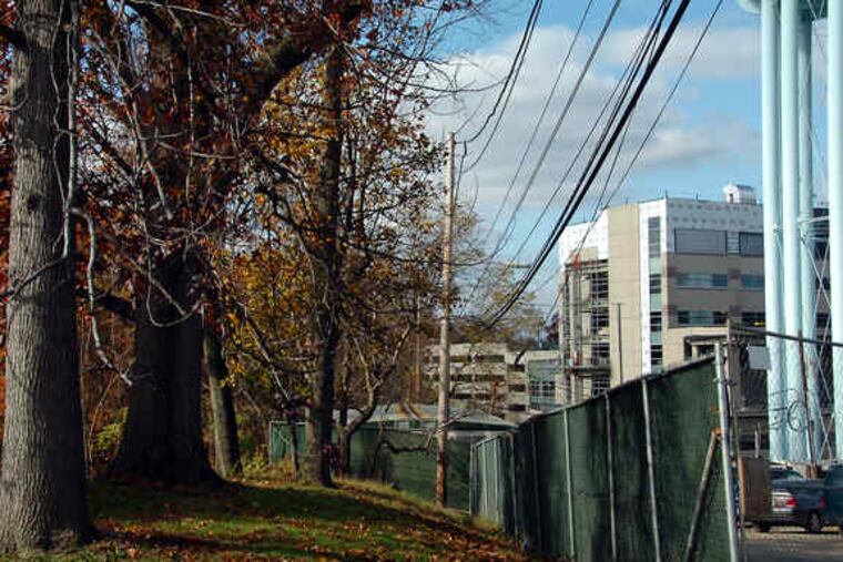 Burholme Park (trees on left) in Northeast Philadelphia sits right next to Fox Chase Cancer Center (buildings on right). Fox Chase wants to build and expand into the park and will appeal its case to Commonwealth Court.