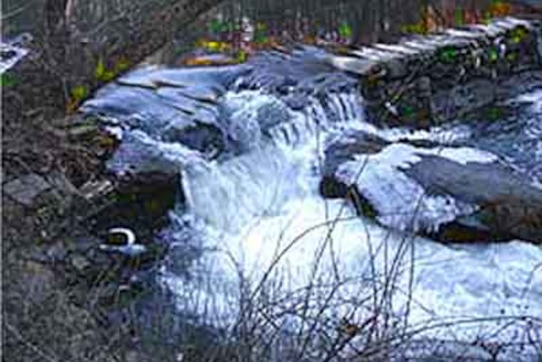 The bodies of a 41-year-old man and a 13-year-old boy were recovered near a popular swimming spot in Wissahickon creek.