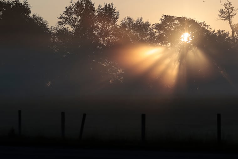 It’s not the sunrise that makes Daryln Brewer Hoffstot leap out of bed at 5:15 a.m. She wants to hear the dawn chorus of songbirds, she writes. The acoustic soundscape of her Pennsylvania farm is as spectacular as what she's heard in the Amazon.