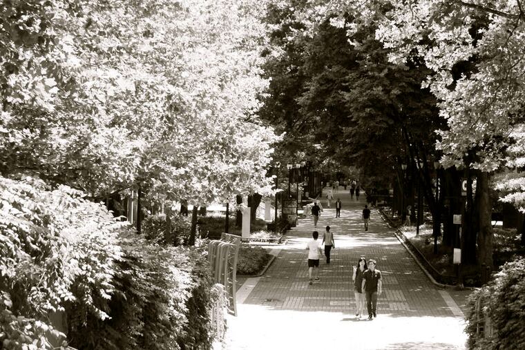 Locust Walk looking east.