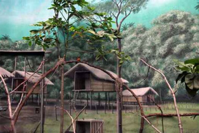 The Guam habitat at the Philadelphia Zoo's McNeil Avian Center. The zoo is attempting to breed two species - the Guam rail and the Micronesian kingfisher - that are native to Guam and extinct in the wild. (Laurence Kesterson / Staff Photographer)