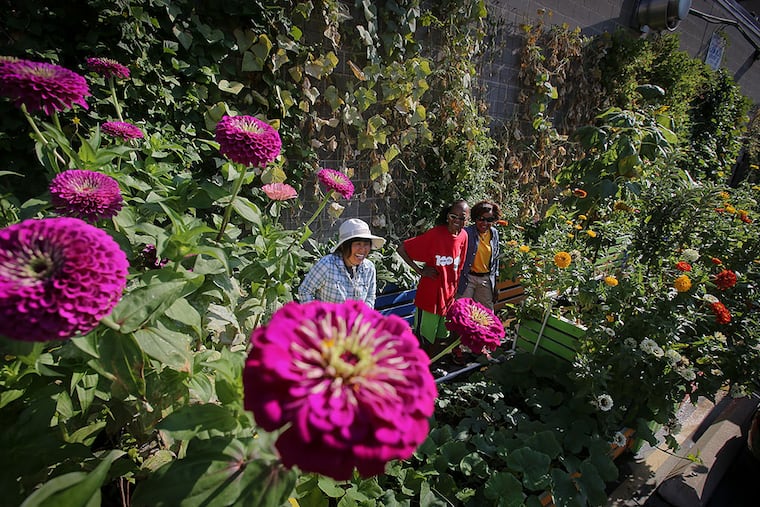 Meei Ling Ng (left), an artist and urban gardener, in the small farm she started in a city lot with volunteers Joyce Randell (center) and Valerie Marshall. The farm aims to provide food and work for the homeless. ALEJANDRO A. ALVAREZ / Staff Photographer
