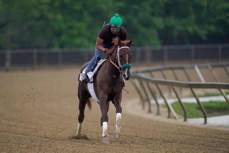 D. Wayne Lukas' Secret Oath, with Exercise rider Oscar Quevedo, is looking to become the seventh filly to win the Preakness.