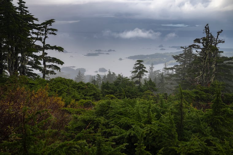 A view of the distant islands of Sitka Sound from Harbor Mountain in the Tongass National Forest, in Sitka, Alaska, Oct. 10, 2024. The Trump administration on Aug. 18, 2026, advanced a plan to open nearly 45 million acres of wilderness in national forests — including 9 million in the Tongass — to road construction and logging, removing protections that had been in place for a quarter century.