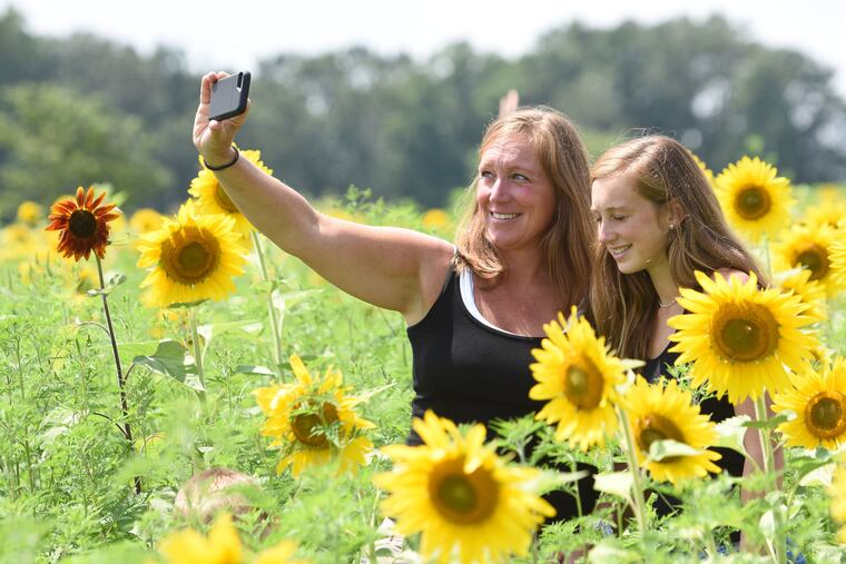 Liz Gardner, left and her daughter Katie shoota selfie in a sea of Sunflowers behind the Please Wash Me Car Wash Friday Aug. 2, 2019 in Elverson, Pa.
