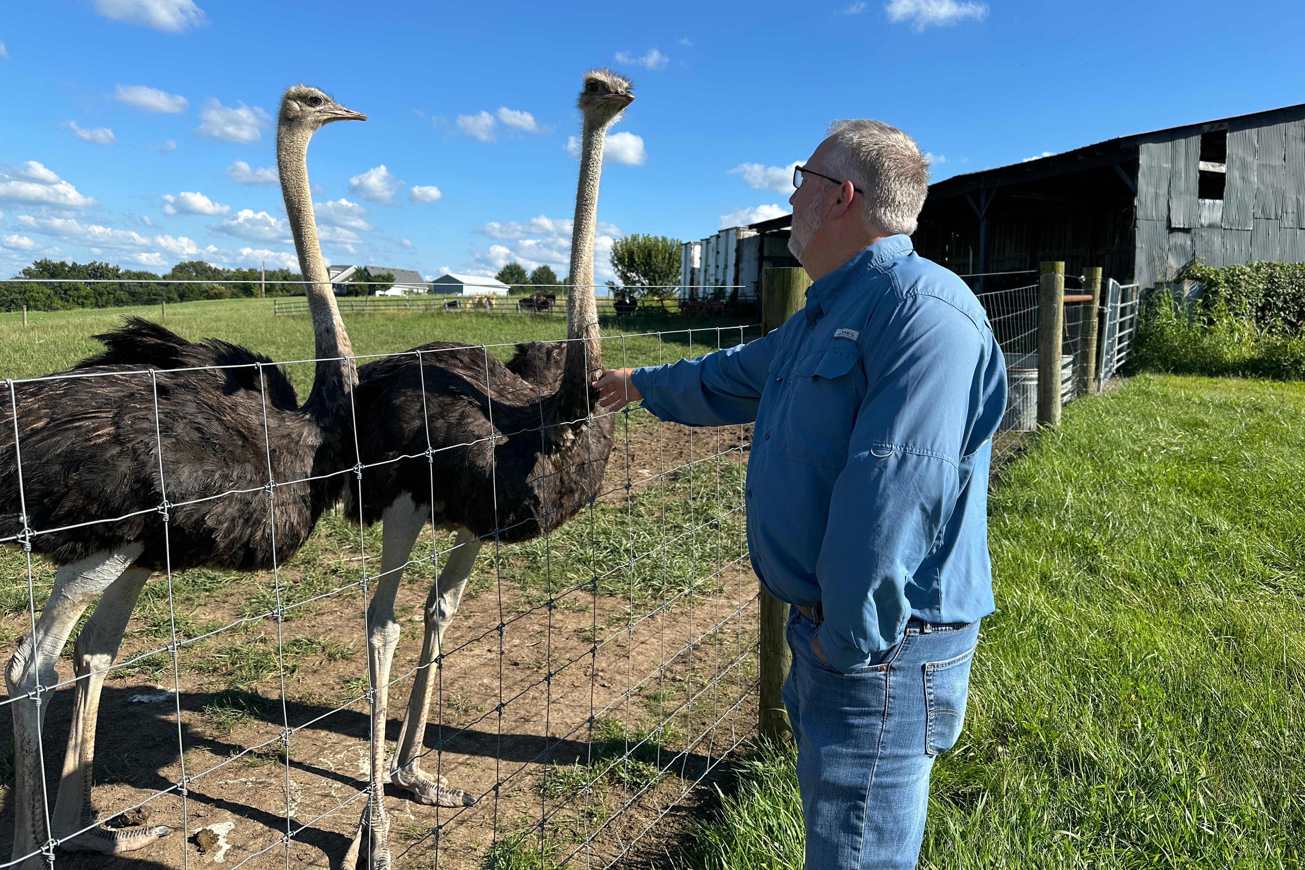 A Kentucky man with a meat allergy was craving a burger. So he got into ostrich farming