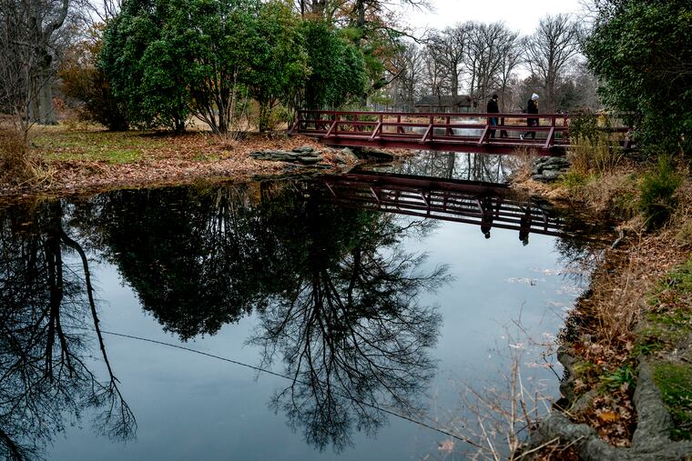 The bridge in Knight Park in Collingswood.