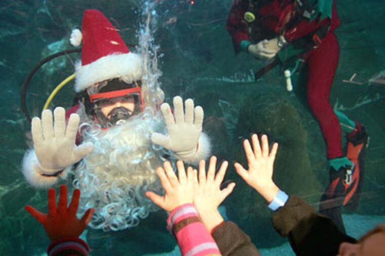Scuba Santa and children touch the glass of the Ocean Realm tank at Adventure Aquarium. (David Swanson / Staff Photographer)